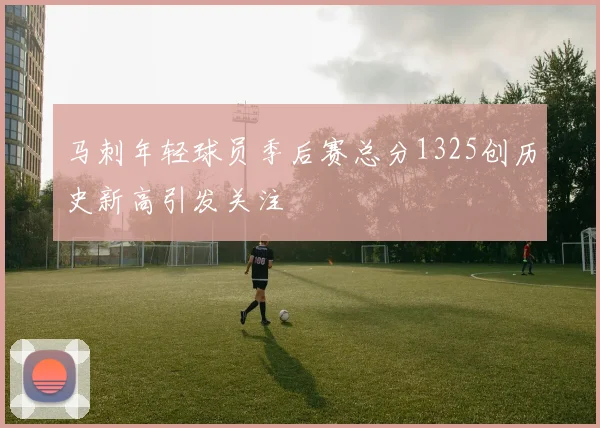 马刺年轻球员季后赛总分1325创历史新高引发关注